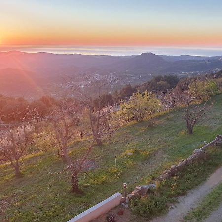 Oasi Del Benessere Hotel Ilbono Bagian luar foto