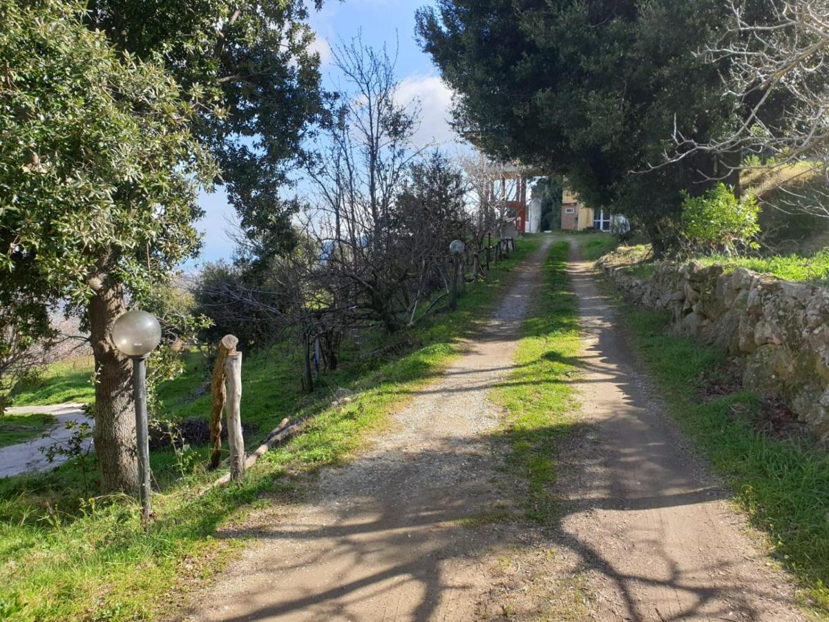 Oasi Del Benessere Hotel Ilbono Bagian luar foto