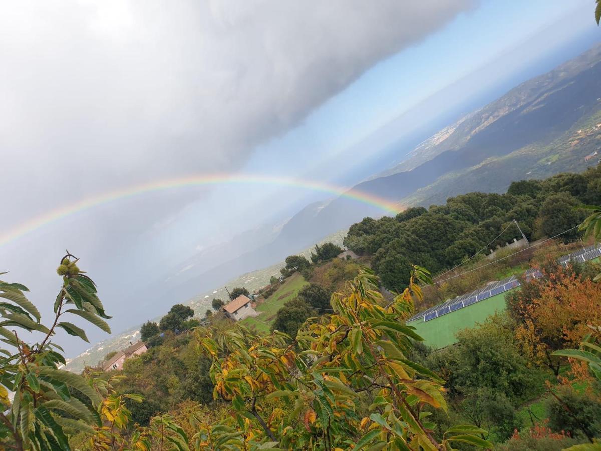 Oasi Del Benessere Hotel Ilbono Bagian luar foto