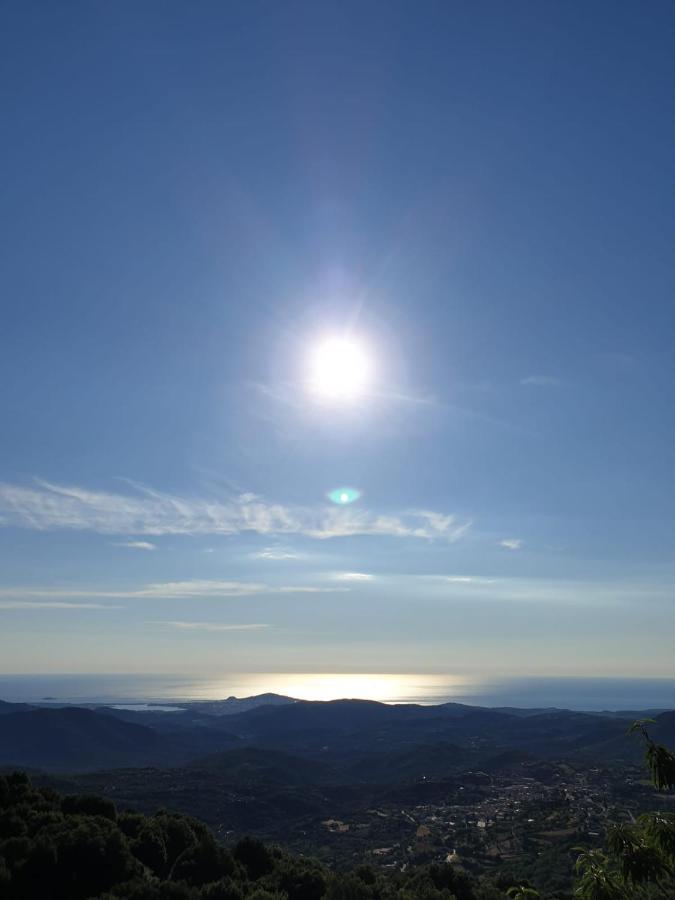 Oasi Del Benessere Hotel Ilbono Bagian luar foto