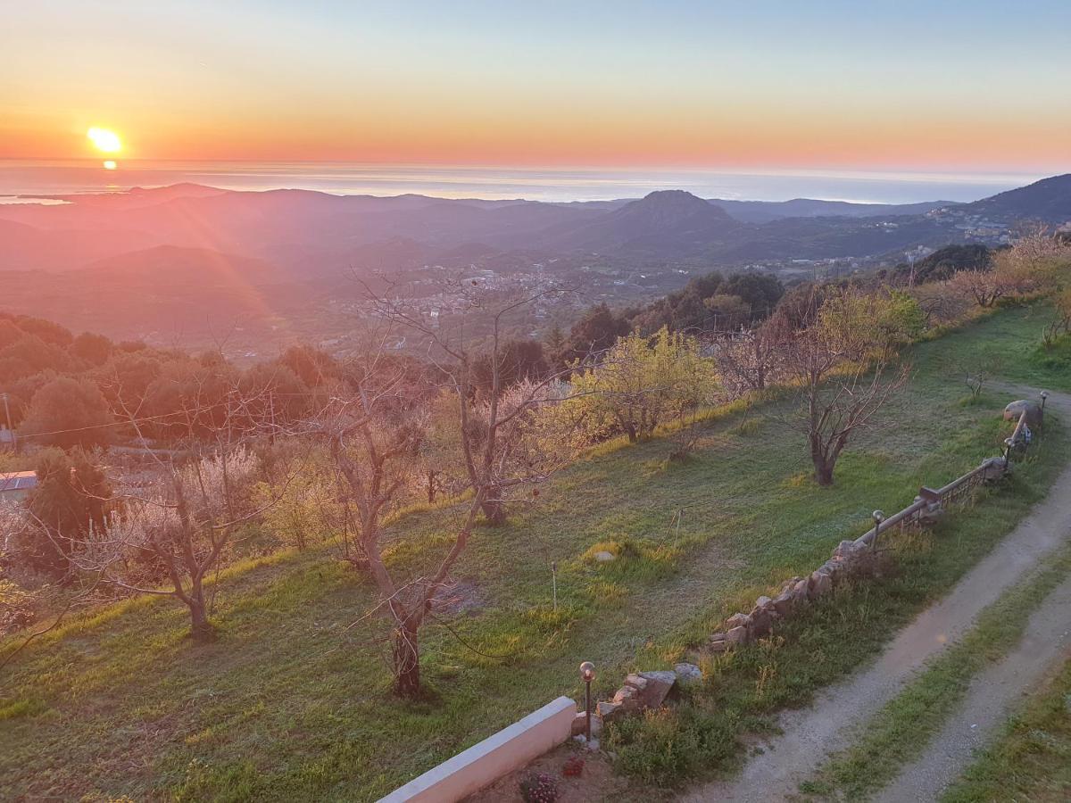 Oasi Del Benessere Hotel Ilbono Bagian luar foto