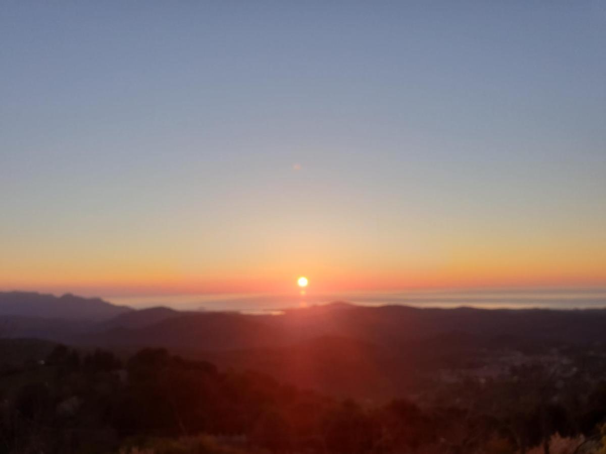 Oasi Del Benessere Hotel Ilbono Bagian luar foto