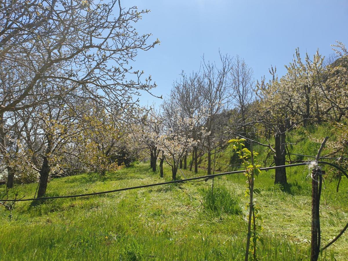 Oasi Del Benessere Hotel Ilbono Bagian luar foto