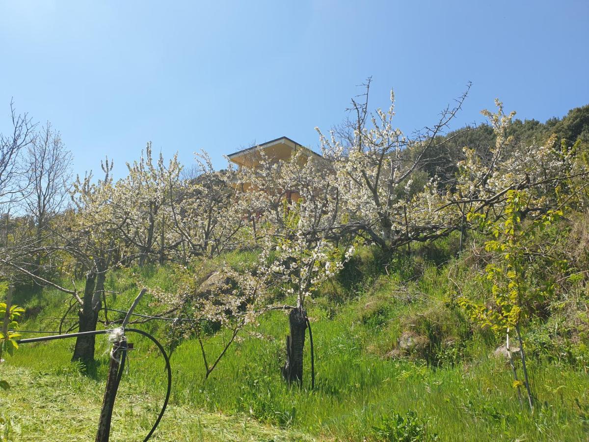 Oasi Del Benessere Hotel Ilbono Bagian luar foto