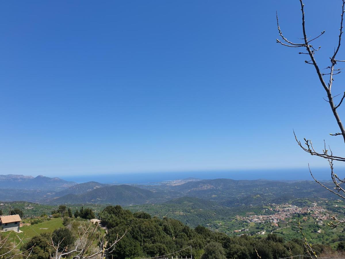 Oasi Del Benessere Hotel Ilbono Bagian luar foto