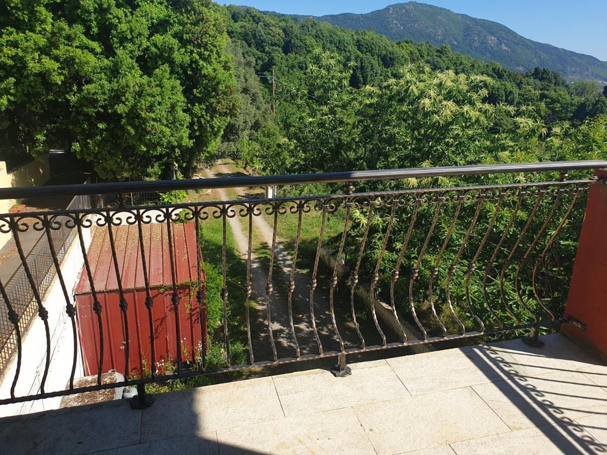 Oasi Del Benessere Hotel Ilbono Bagian luar foto